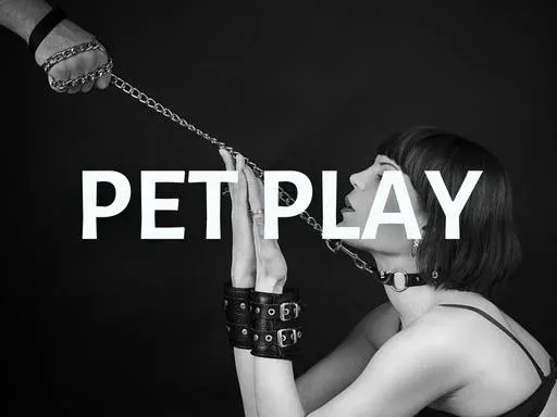 pet play roleplay label